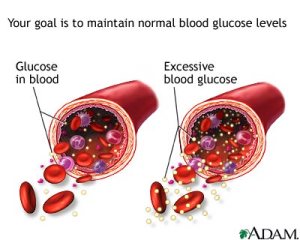 obat tradisional penurun gula darah
